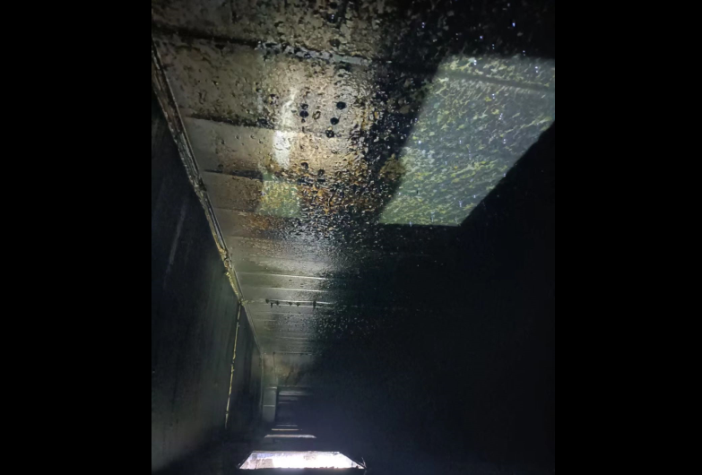 1701937209493.png 1701937209493.png